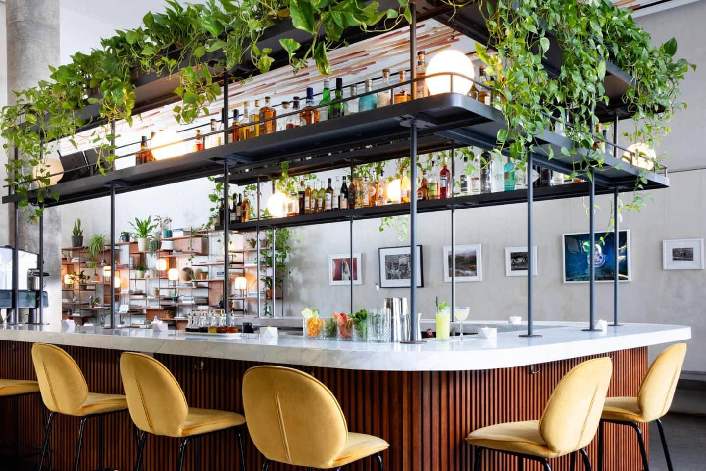 Hotel Alameda Highline
