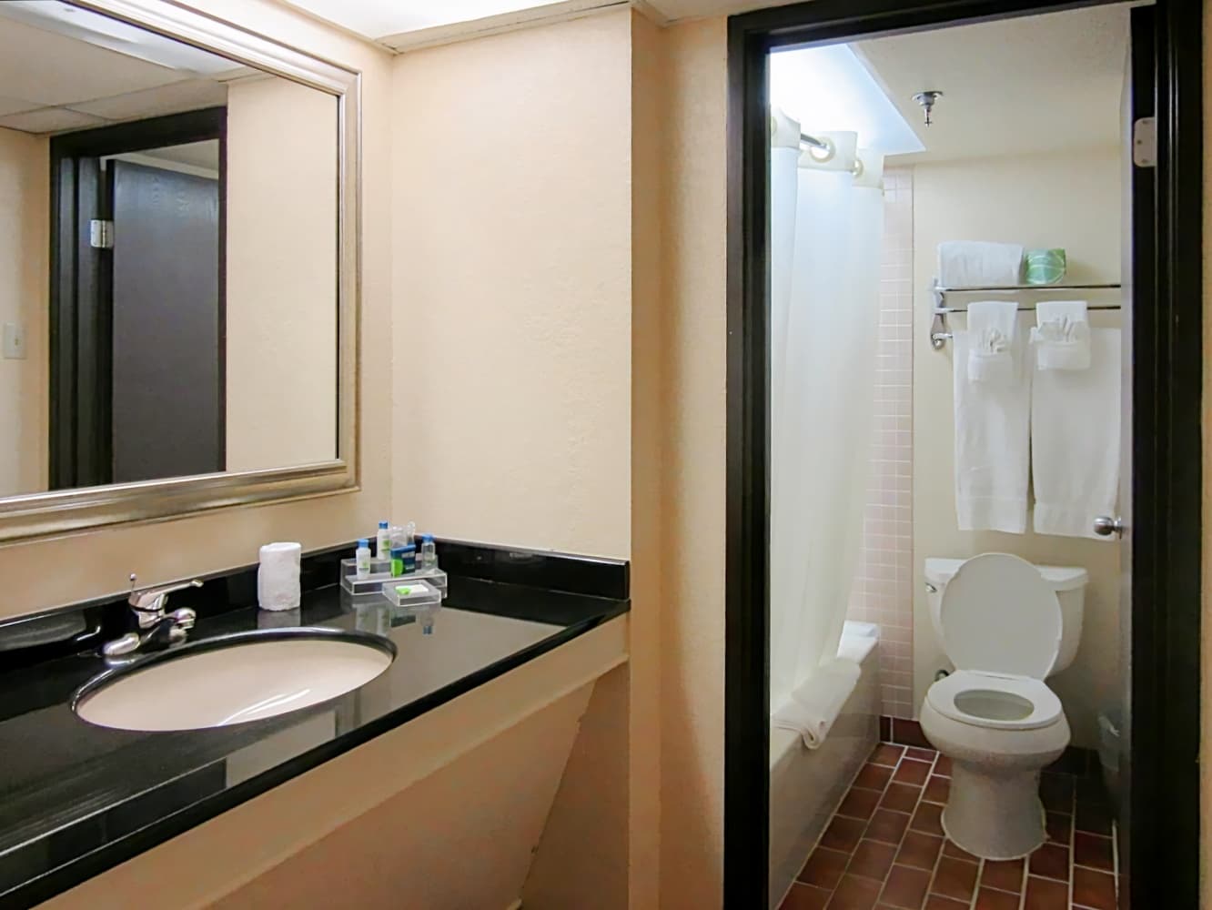 Atrium Hotel & Suites DFW Airport