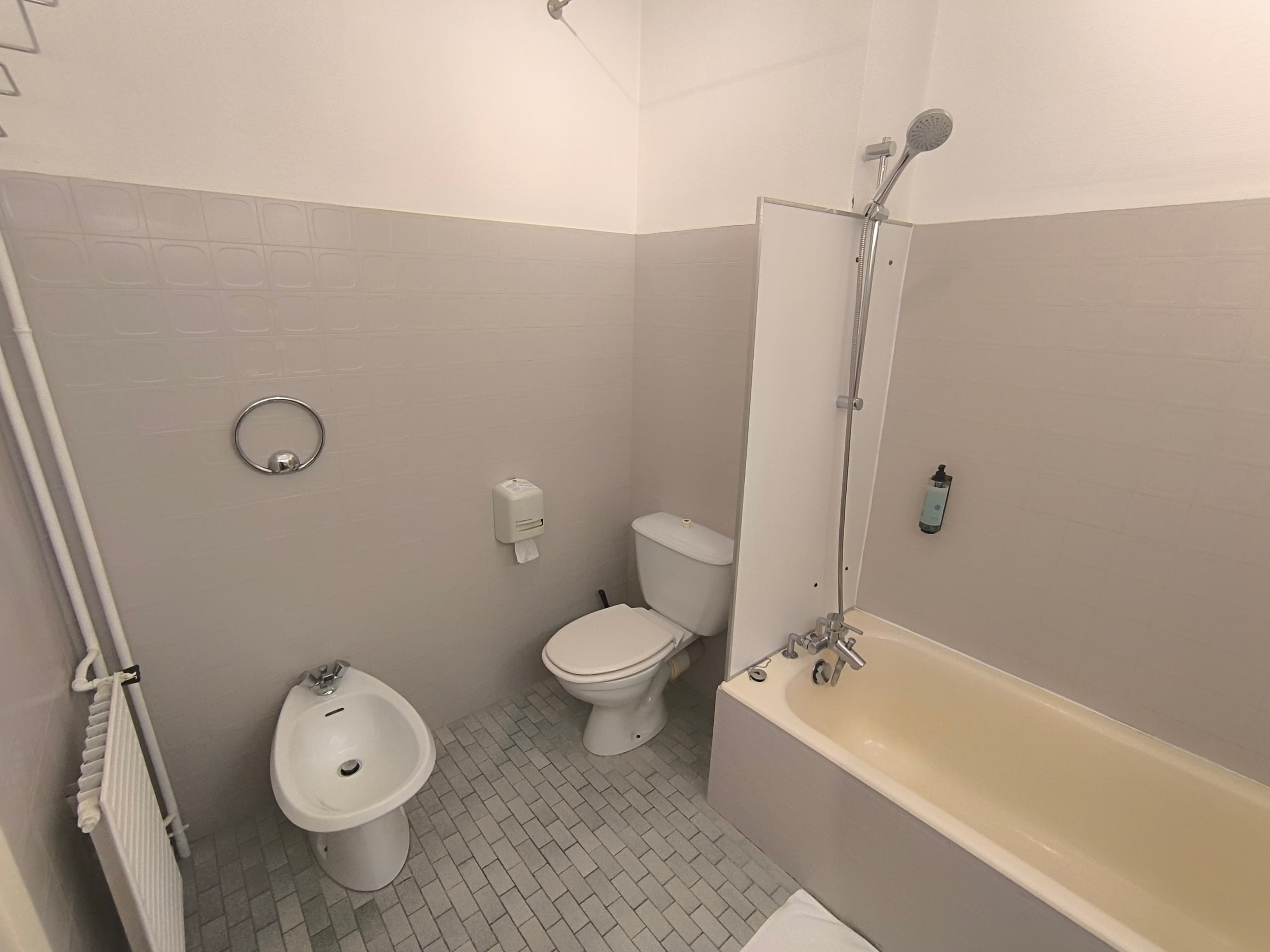 Adonis Lyon Est Artys Hotel