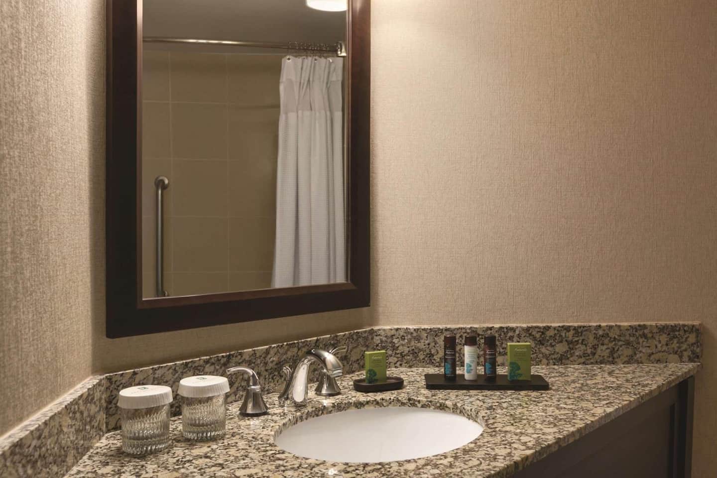 Embassy Suites by Hilton Birmingham