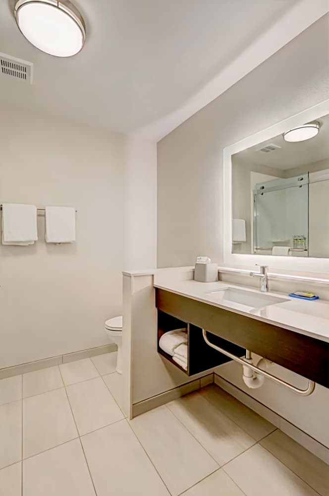 Holiday Inn Express & Suites - Auburn Downtown