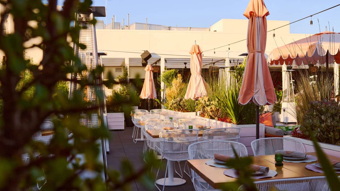 The Shay, a Destination by Hyatt