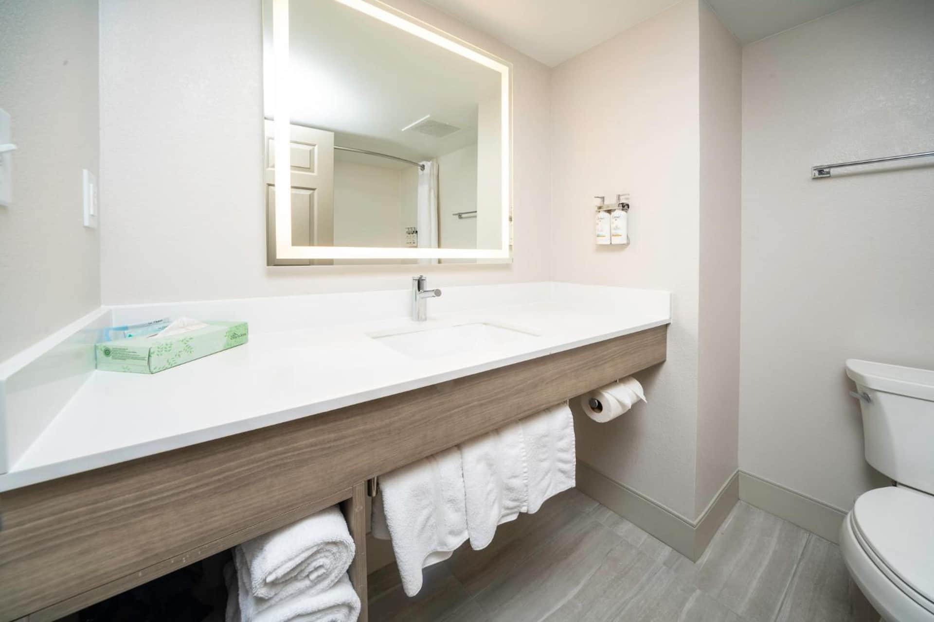 Holiday Inn Express and Suites Atlanta-Johns Creek by IHG