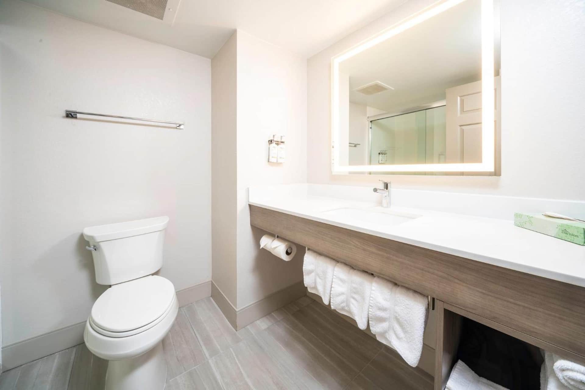 Holiday Inn Express and Suites Atlanta-Johns Creek by IHG