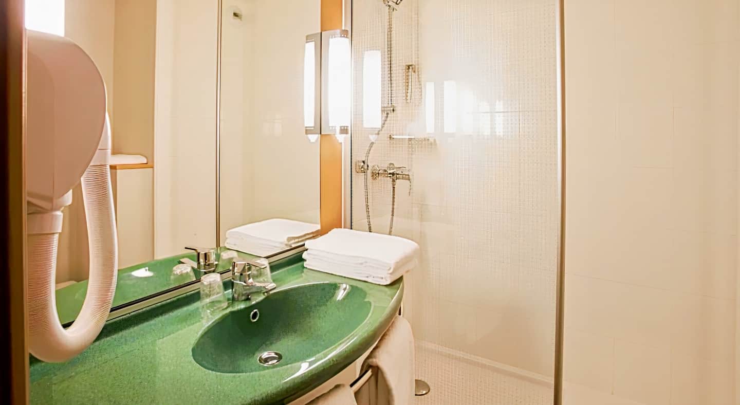 ibis Auray