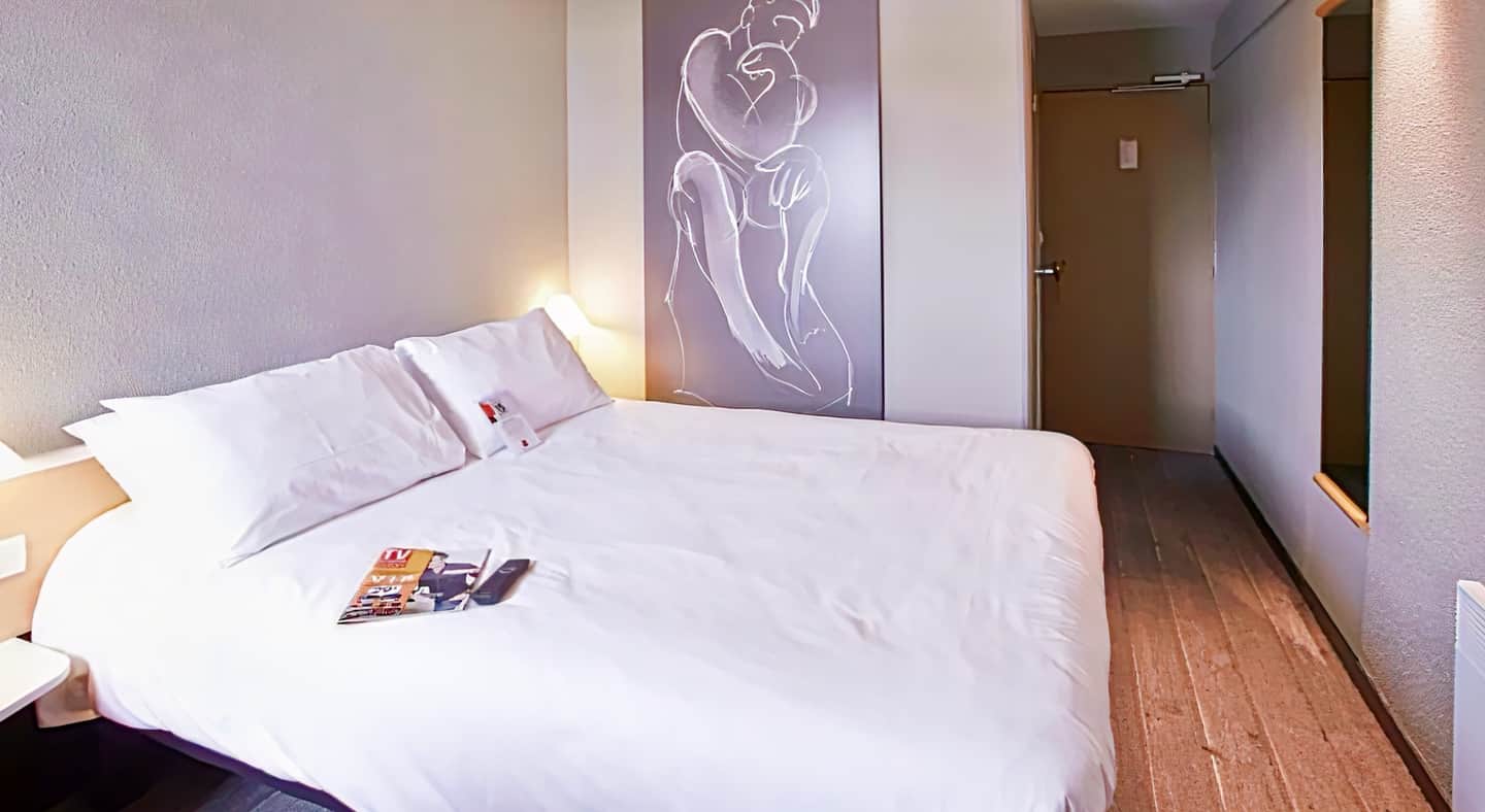 ibis Auray