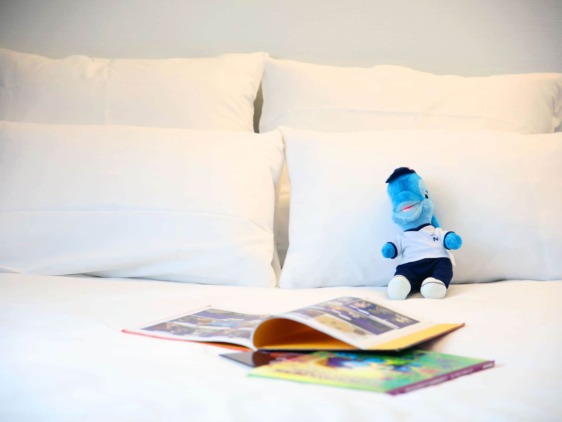 Novotel Lille Centre Grand-Place