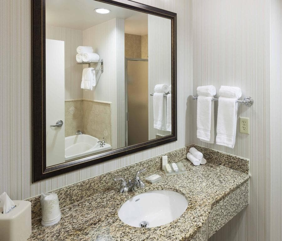 Hilton Garden Inn Dallas/Lewisville
